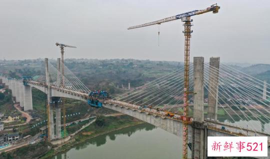 为保护长江上游珍稀鱼类 渝昆高铁一跨过沱江