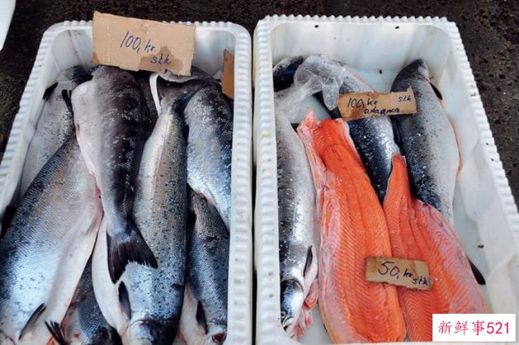 冰冠冰川探索，格陵兰岛冰川最新新闻