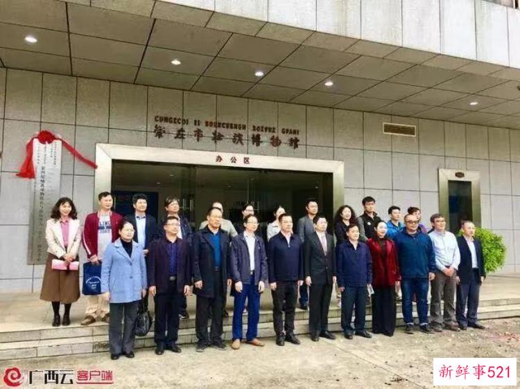 崇左成立第四纪哺乳动物化石与边境考古研究中心的时间，崇左考古发现
