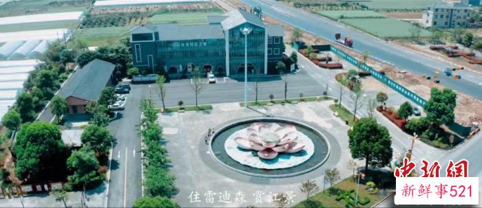 衢江区文广旅体局相关视频(视频截图) 谢盼盼 摄