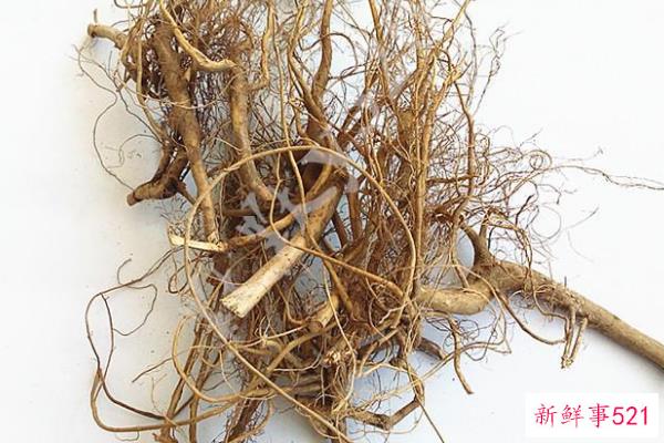 沈是道教的哪一派？