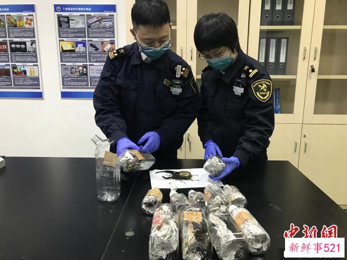 如何研判今年外贸形势？海关总署最新回应！