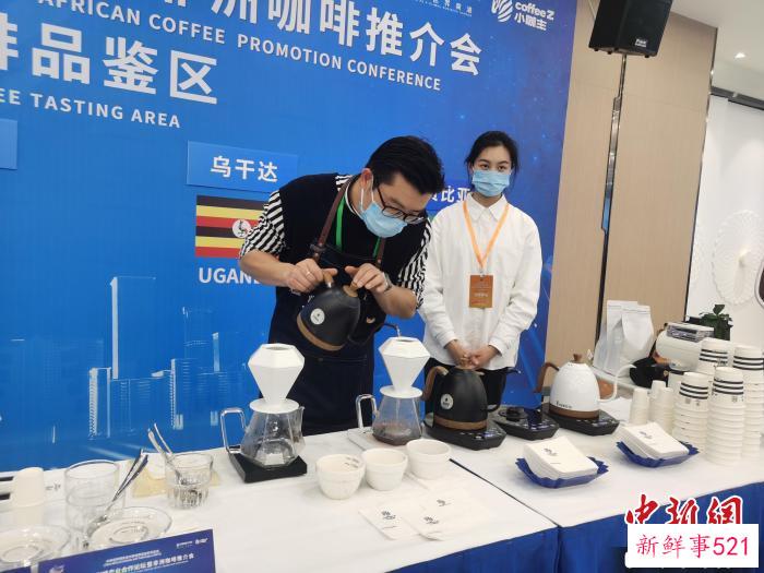 现场设立了非洲五国的咖啡品鉴区。　向一鹏 摄