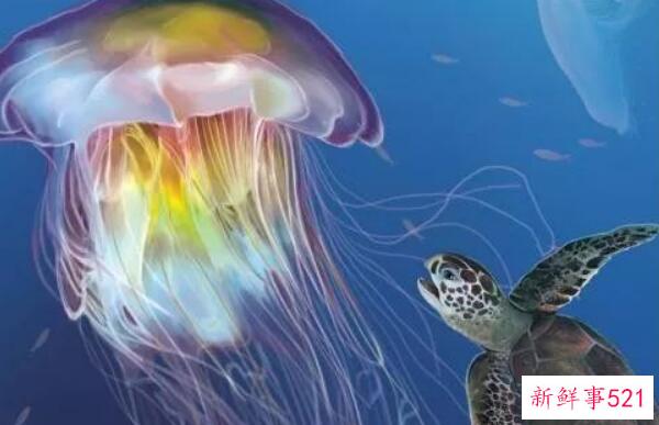 黄晓明退出朗杰引发热议-她与前任李菲儿惹来非议 称妻子不是小三