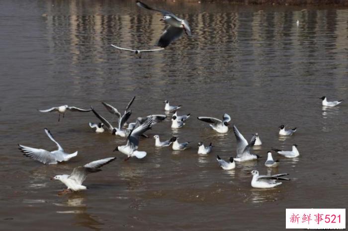 春分节气知多少：如何才能缓解春困？