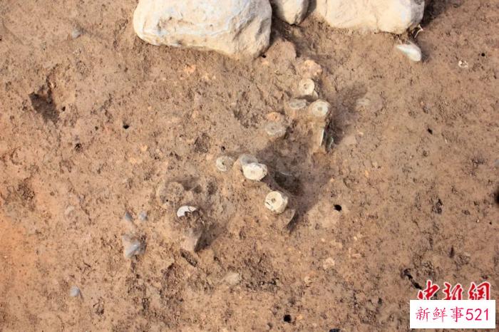 东西问｜李暎澈：中国北宋钱币为何出现在韩国济州岛？