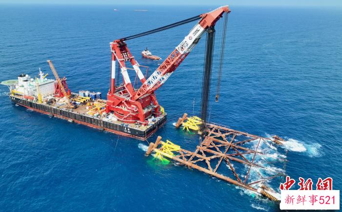图为“蓝鲸号”浮吊作业中(无人机照片) 陈文 摄