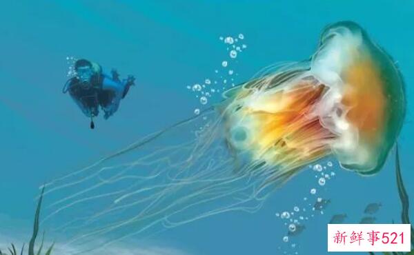 黄晓明退出朗杰引发热议-她与前任李菲儿惹来非议 称妻子不是小三