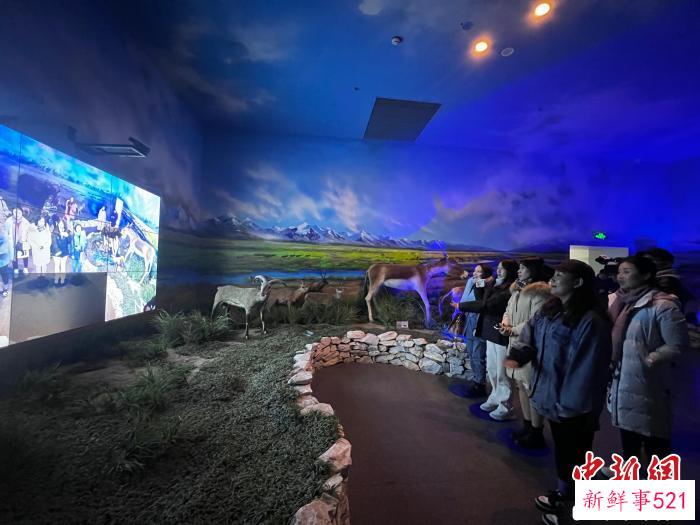 图为此次活动受邀嘉宾参观玉树州博物馆。　李江宁 摄
