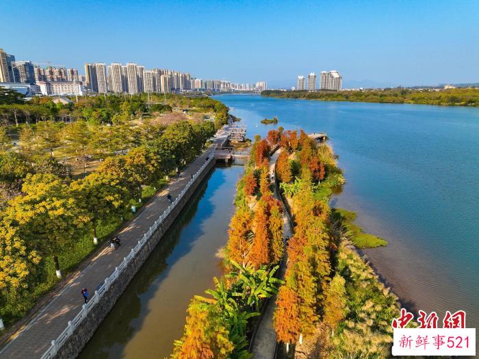 城市风光 广东省林业局 供图