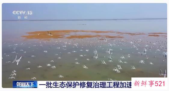 修复退化湿地 一批生态保护修复治理工程加速推进
