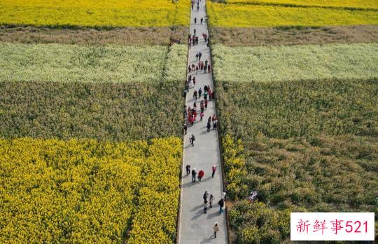 节令之美·春分丨春色正中分，莫负好时光