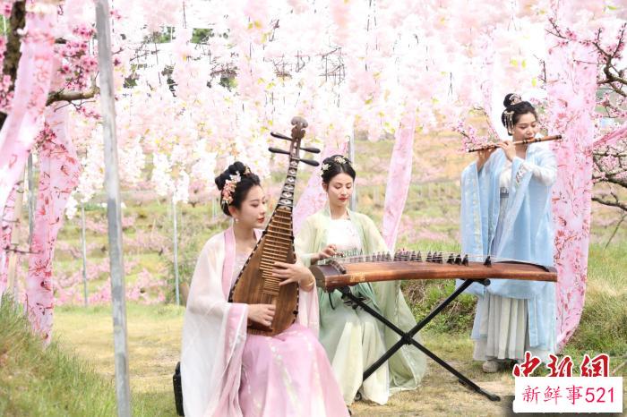 古筝乐器互动区。　蒋炜煌 摄