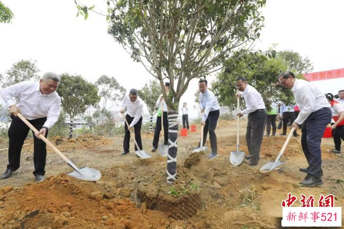 河源客家文化公园植树活动现场 广东省林业局 供图