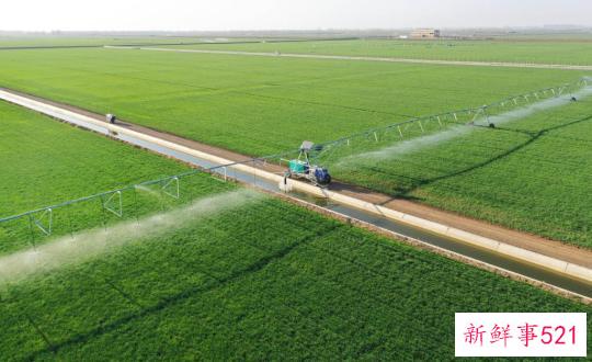 节令之美·春分丨春色正中分，莫负好时光