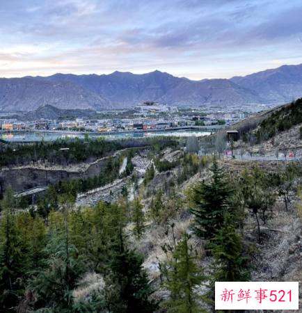 西藏稳就业为群众拓宽幸福路