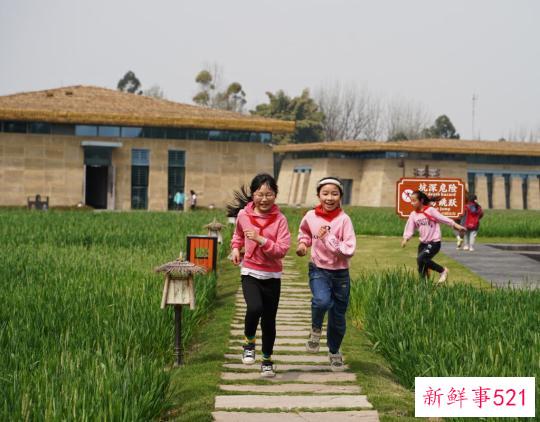 节令之美·春分丨春色正中分，莫负好时光