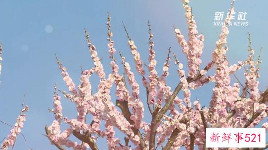 强信心·开新局丨春季旅游消费强势复苏