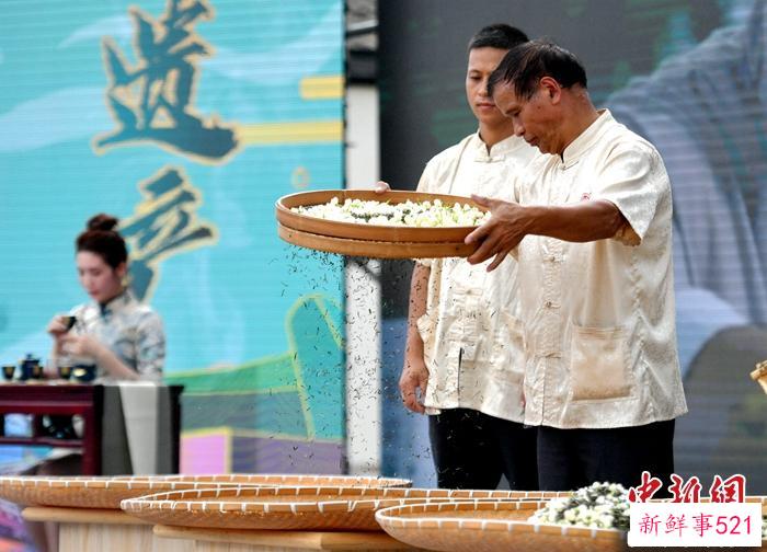 【寻味中华】福州茉莉花茶：“中国春天的味道”