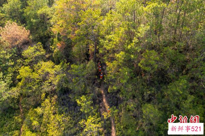 消防员进行山岳救援训练。　王雄飞 摄