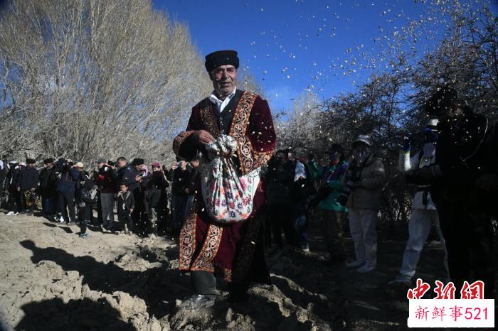 图为身穿盛装的阿瓦孜克·古力买买提，沿着翻耕的土地进行撒种。　孙亭文 摄