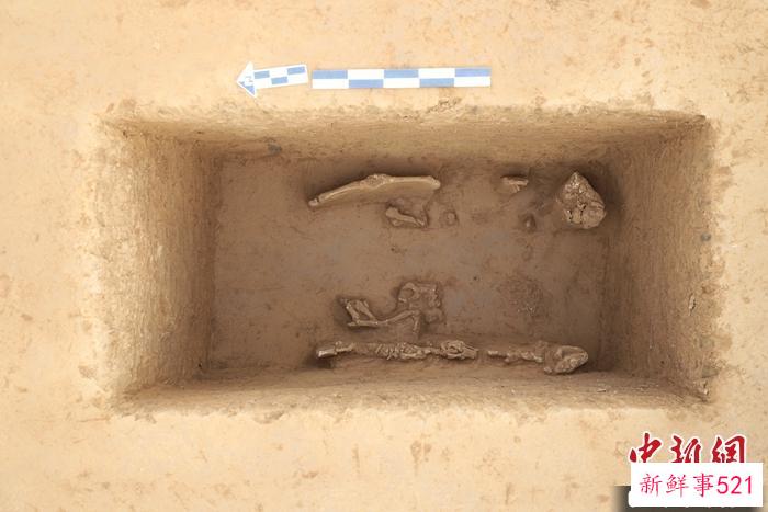 河南公布2022年度五大考古新发现