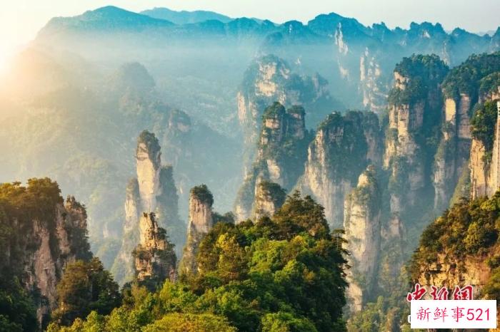 东西问·中外对话丨保护生物多样性，中国方案为世界提供何种启示？