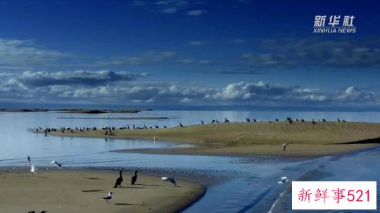 新华全媒+丨河净水清 “中华水塔”三江源保护成效显著