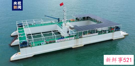 大海深处建粮仓 看广东发展海洋经济的“减法”“加法”“乘法”