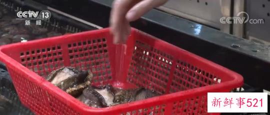 “大食物观”里的产业升级 水产预制菜延长水产养殖产业链