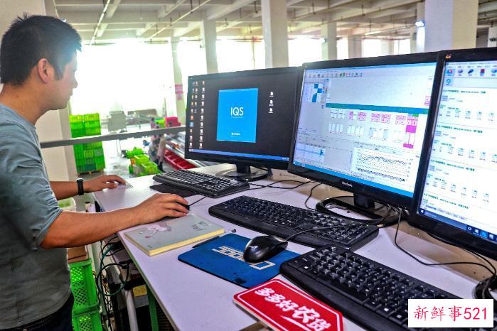 90后返乡“新农人”借力拼多多 把高原沃柑“扛”出大山