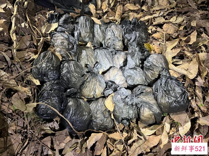 西双版纳警方查获特大运输毒品案 缴毒35公斤