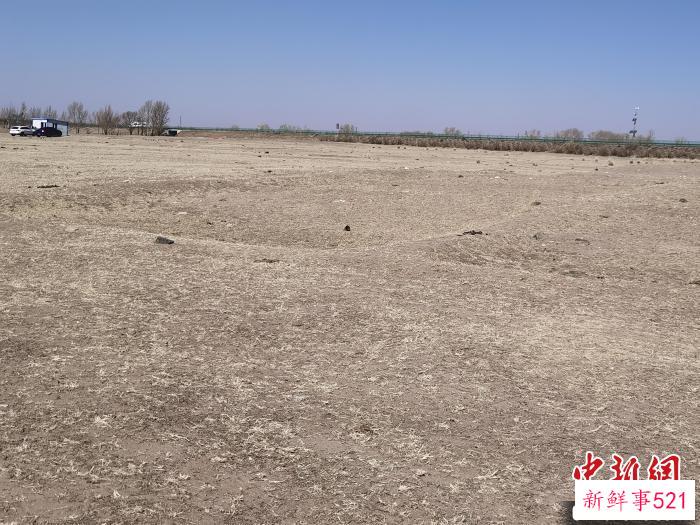 图为元代集宁路遗址。　李爱平 摄