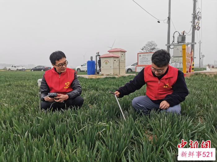 气象科技工作者在麦田间测量土壤墒情。　韩章云 摄