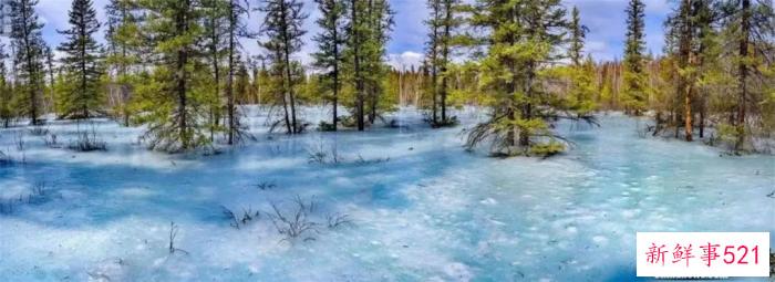 人这一辈子，一定要去一趟塔河！