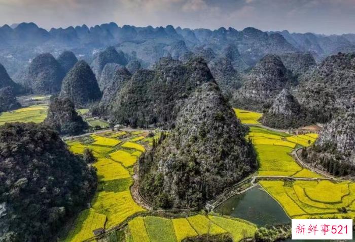 多彩贵州·花漾中国 - 藏在贵州的多彩春天