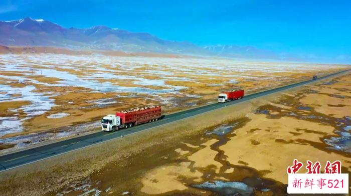 在牧民转场过程中，当地政府会提前为牧民联系拉羊车辆，在转场途中设立服务站，为牧民提供一些补给物资。　甘明亮 摄