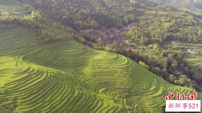 清流山乡，田园风光秀丽迷人。　福建省电视台综合频道 供图