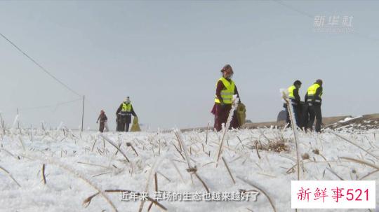 新华全媒+丨河净水清 “中华水塔”三江源保护成效显著