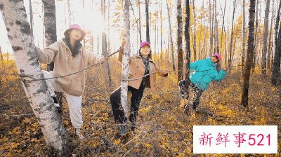 人这一辈子，一定要去一趟塔河！