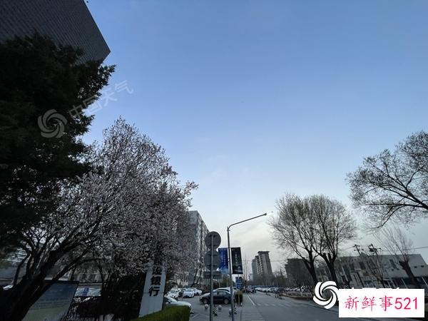 今晨北京重现蓝天 白天北风仍强劲阵风可达6级