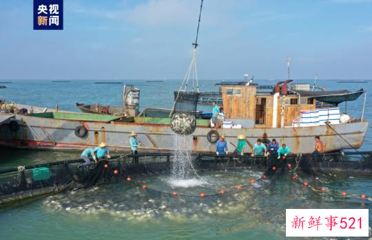 大海深处建粮仓 看广东发展海洋经济的“减法”“加法”“乘法”