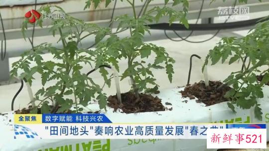 数字赋能 科技兴农 “田间地头”奏响农业高质量发展“春之曲”