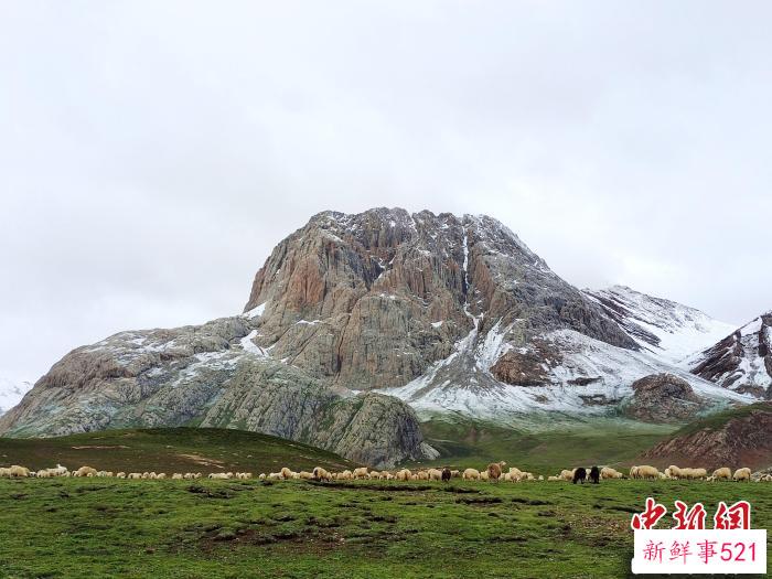 图为索布查叶区域的草场和山峰。(资料图) 治多县委宣传部 供图