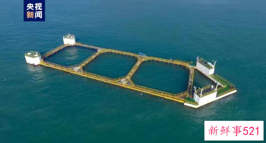 大海深处建粮仓 看广东发展海洋经济的“减法”“加法”“乘法”