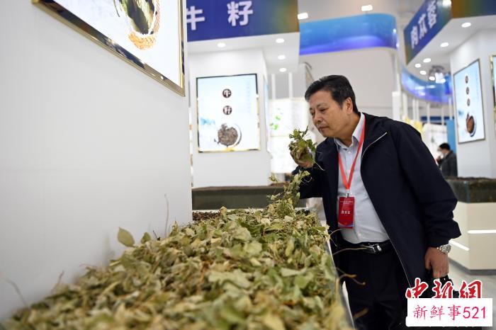 3月22日，2023年甘肃(定西)中医药产业国际招商洽谈会在甘肃陇西县举行。图为嘉宾在陇药馆参观。　九美旦增 摄