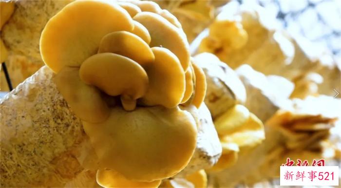 人这一辈子，一定要去一趟塔河！