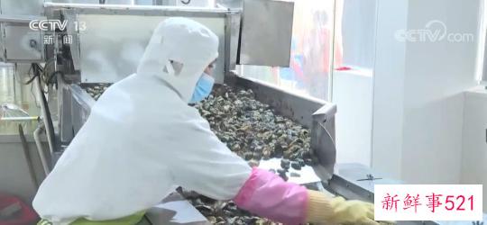 “大食物观”里的产业升级 水产预制菜延长水产养殖产业链