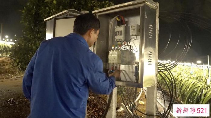 一年多结3批果 广西火龙果变身乡亲们的致富果