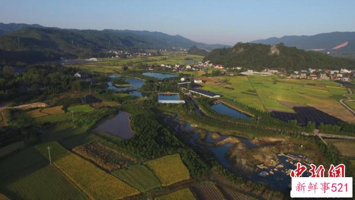 清流县位于闽西的群山之中，因为“青溪环绕、碧水洄流”而得名。　福建省电视台综合频道 供图